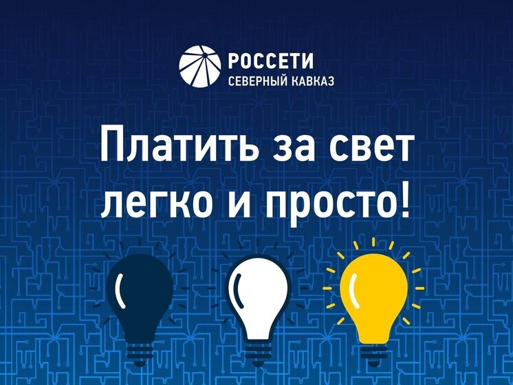 Как легко и просто оплатить за потребленный энергоресурс?