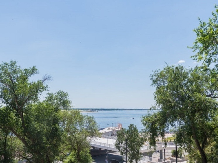 Волгоградцев предупредили об опасном цветении амброзии