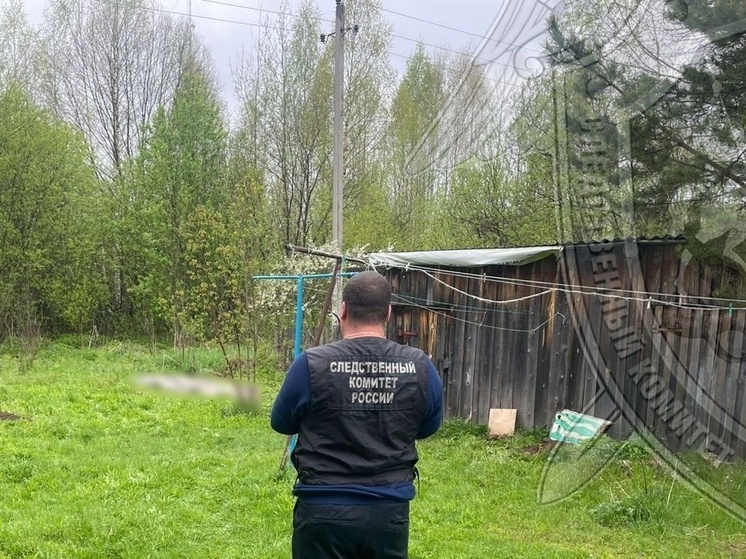 В суд направлено дело о майском убийстве в Костромской области