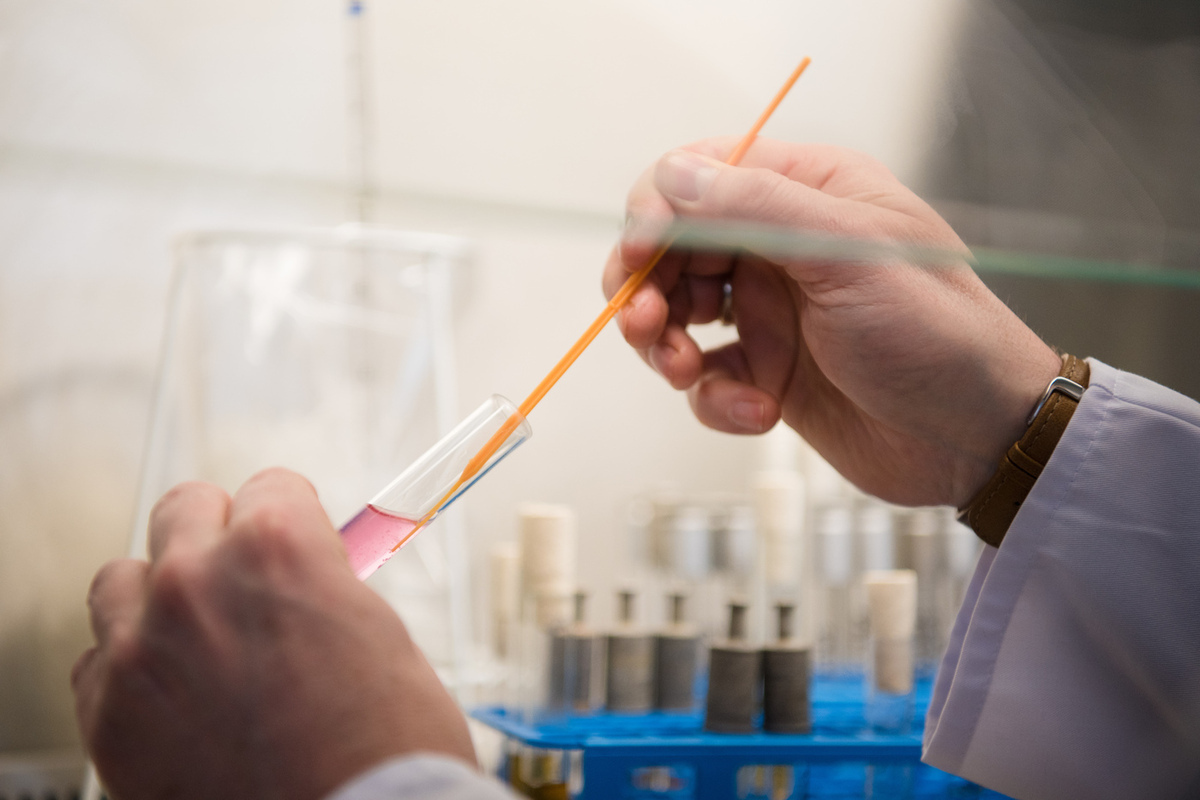 Выявлен новый случай заражения грибком Candida auris с поражением мозга