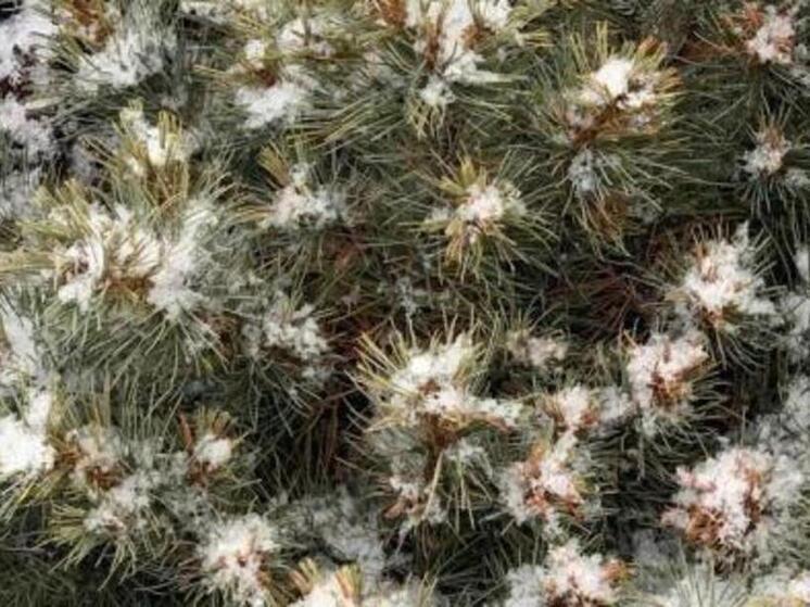 Во вторник в регионе возможны дожди, местами со снегом