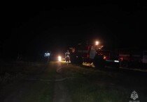 В селе Староалейское Алтайского края поздним вечером 11 августа загорелся частный дом. При пожаре погибли два человека. Их тела обнаружили на месте происшествия сотрудники МЧС.