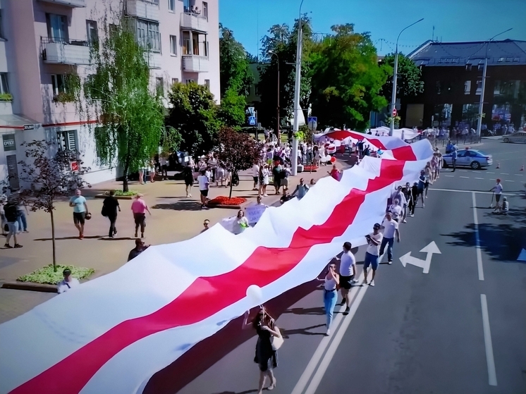 Белорусская оппозиция предложила НАТО создать вооружённые формирования для захвата власти