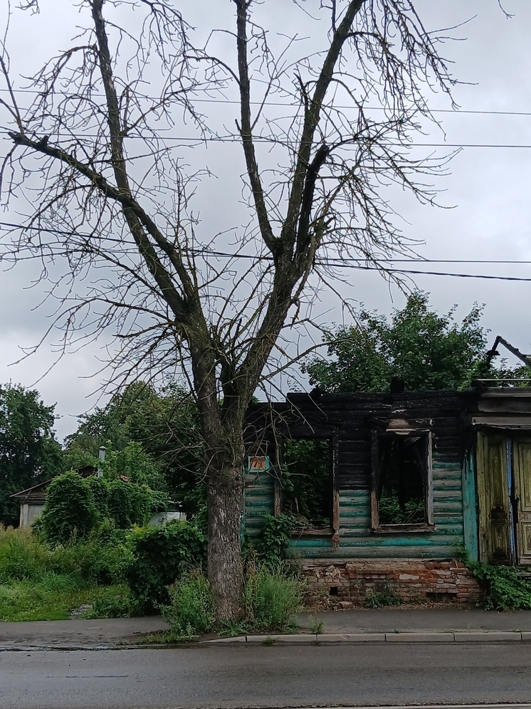 Орёл зарос сухими деревьями