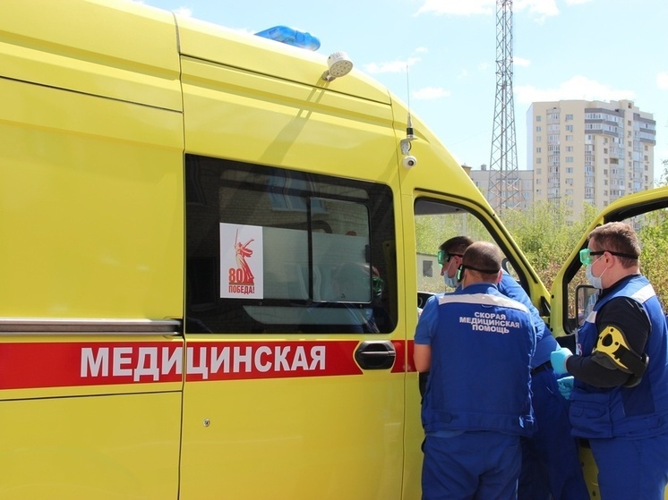 Два случая укуса змей за сутки: как действовать правильно