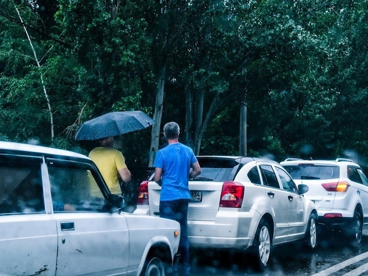 Кратковременные дожди и грозы прогнозируются в Волгоградской области 12 августа