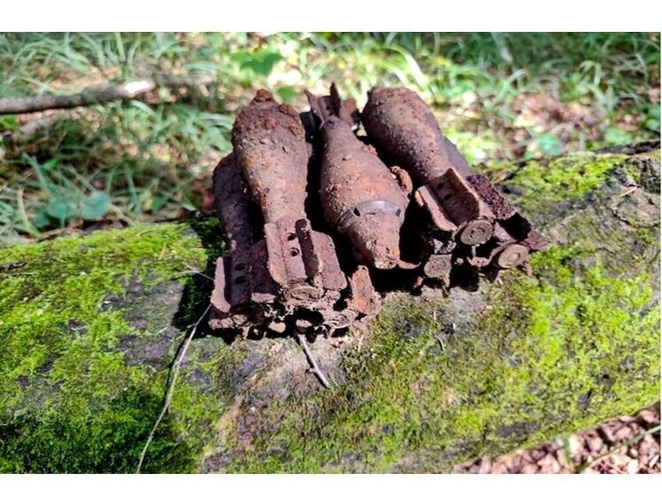 В Краснинском районе нашли семь минометных мин времен войны