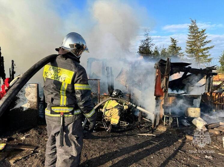 Человек получил ожоги, животные погибли при пожаре в хозпостройках в Лабытнанги
