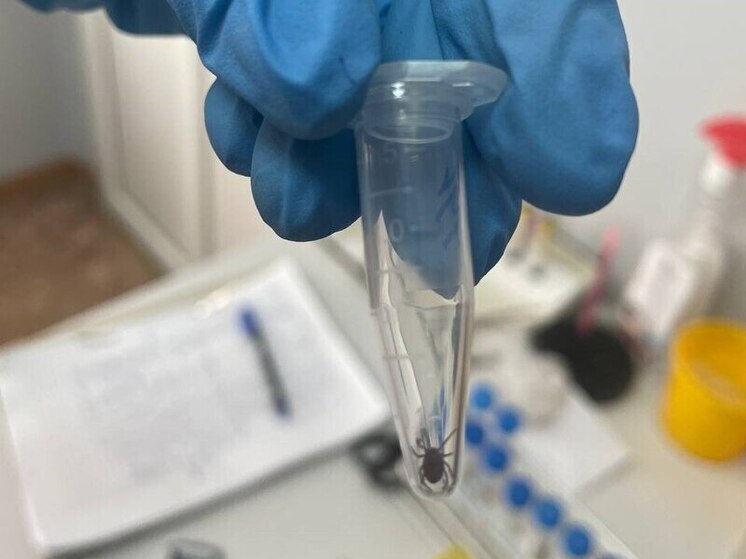 В Хакасии изменилась география распространения клещей