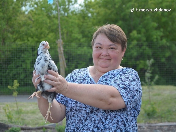 Белгородка развила личное подсобное хозяйство с помощью господдержки