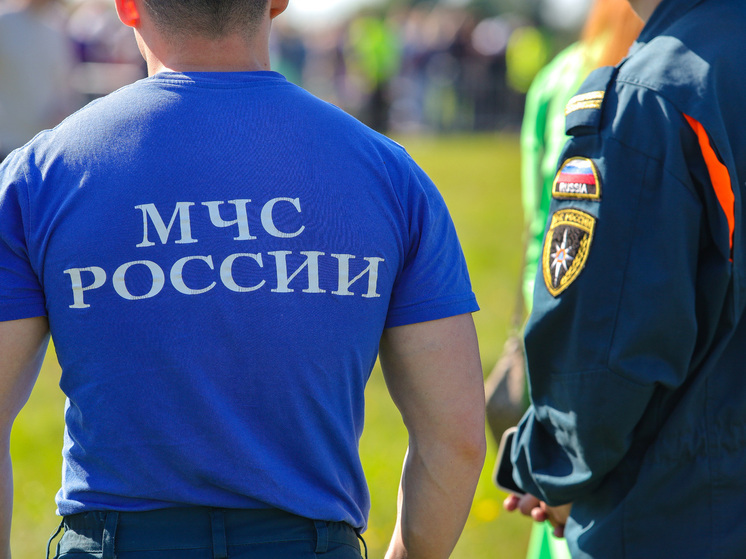 Спасатели подняли из 8-метрового колодца лабрадора