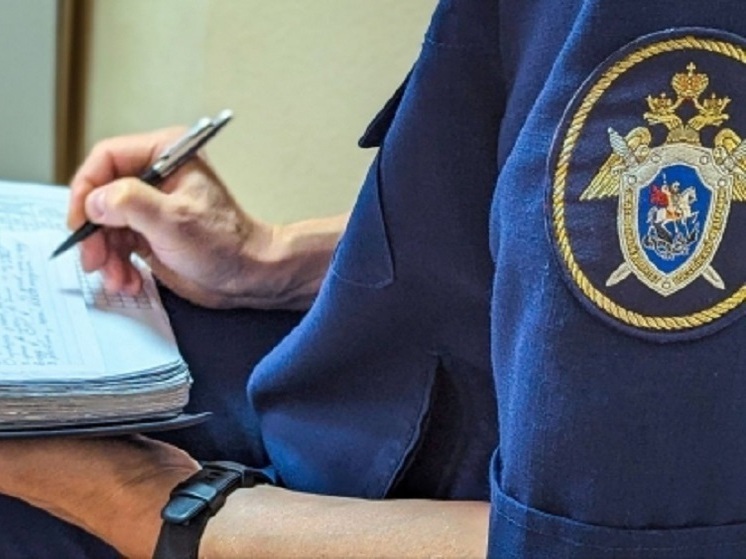 Житель Мурома получил 7 лет колонии за оправдание терроризма и фейки о военных
