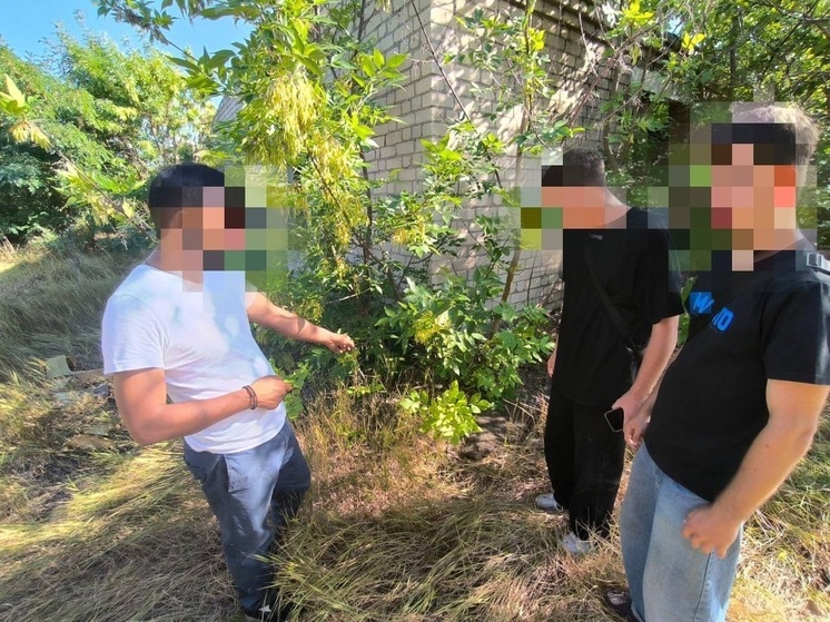 В Бердянске задержан подозреваемый в поиске наркотиков по GPS-координатам