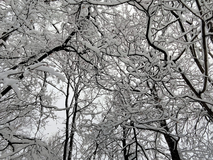 Опубликован неутешительный прогноз погоды на эту зиму