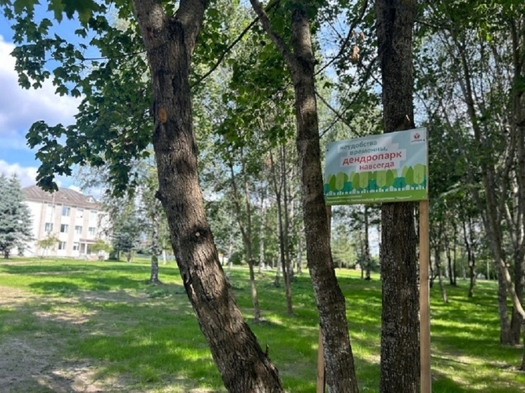 В одном из населённых пунктов Карелии создадут новый дендропарк