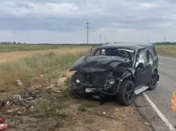 В Ростовской области в жутком ДТП на трассе погибли два человека
