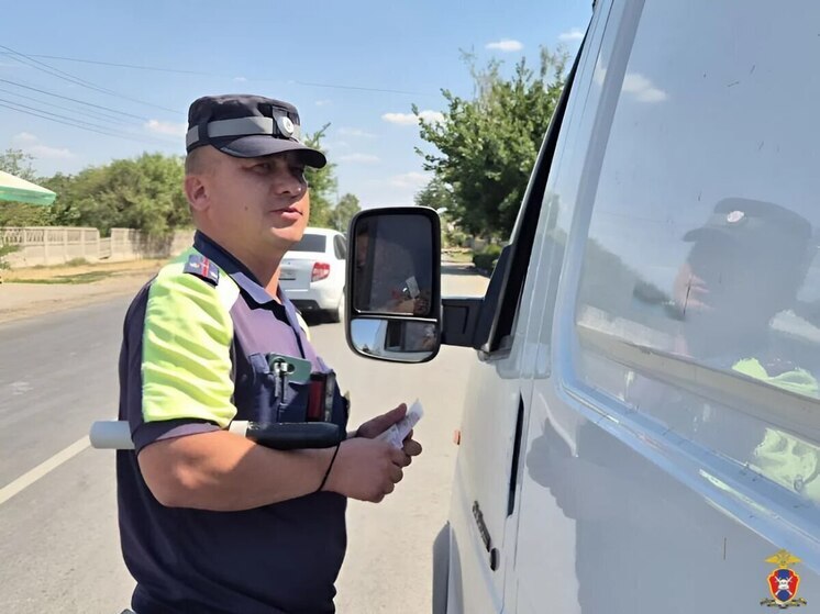 В Чаплынском округе поймали двух пьяных водителей
