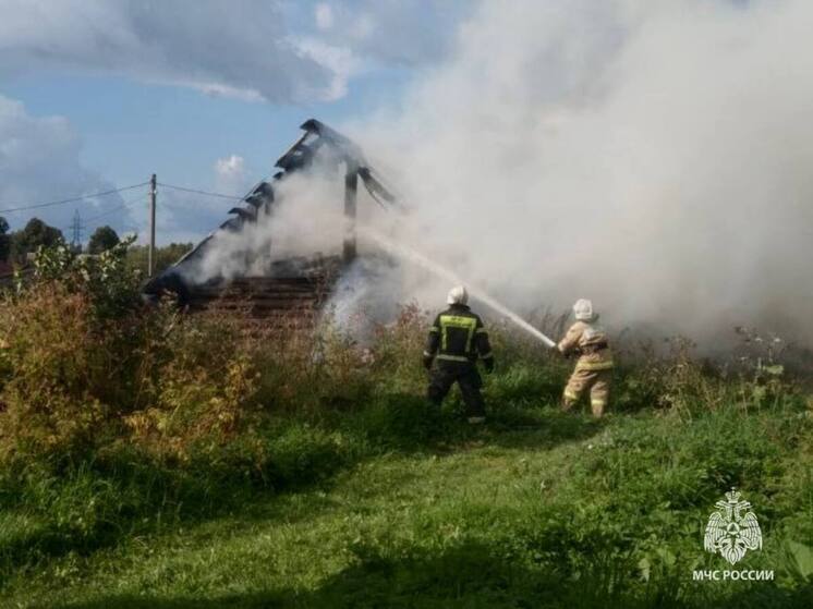 В Солецком округе по неизвестной причине загорелась хозпостройка