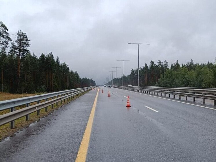 В Маловишерском округе автоледи наскочила на ограждение, есть пострадавший