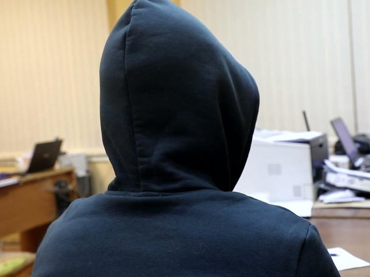 Курьер мошенников, похитивший у пенсионерки 500 тысяч рублей в Александрове, отправляется в тюрьму