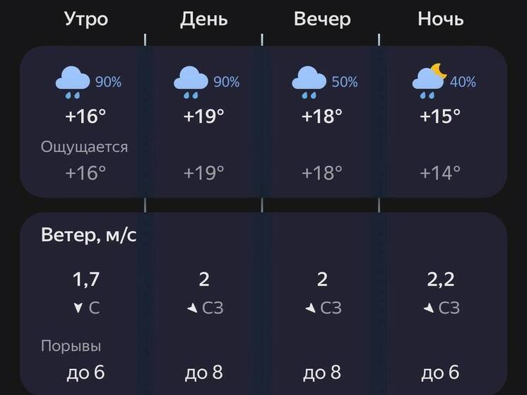 Пензенцев предупредили о дождливой погоде 12 августа