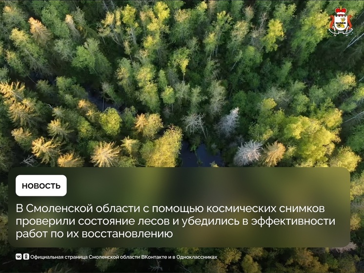 В Смоленской области высаживают новые леса