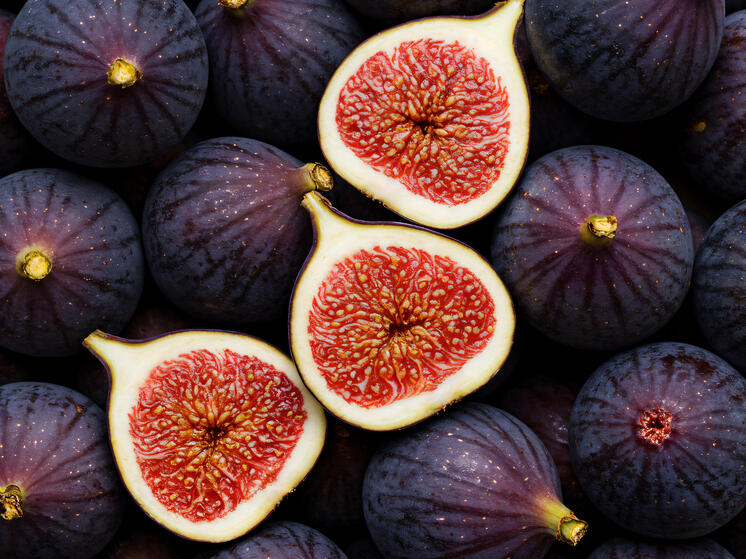 Первый в России случай завоза опасного для инжира тайваньского долгоносика обнаружен в Сочи