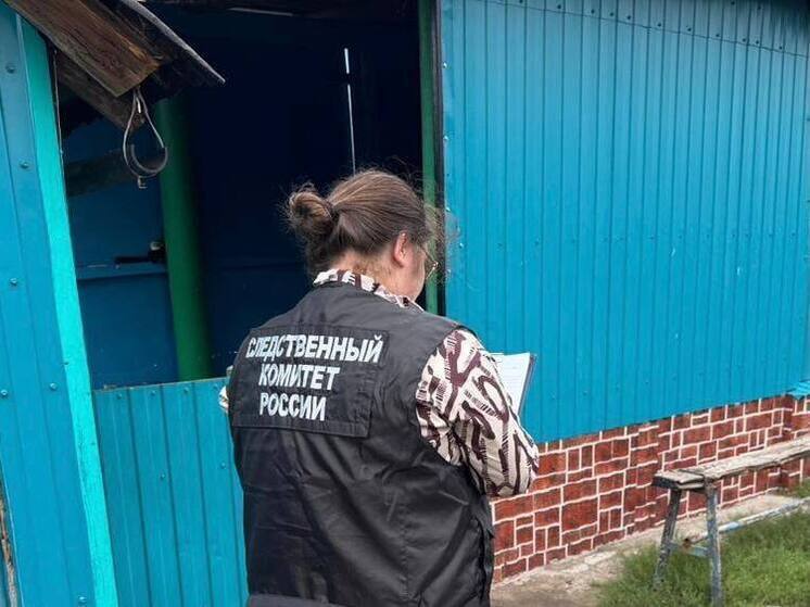 Житель Воронежской области до смерти избил друга, заподозрив его в воровстве
