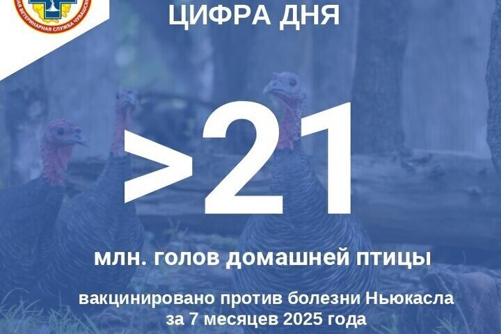 В Чувашии вакцинировали более 21 миллиона голов птицы от болезни Ньюкасла