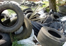 Прокуратура Индустриального района Барнаула инициировала процесс ликвидации несанкционированной свалки строительного мусора на территории поселка Пригородный. Отходы складировали вблизи жилых домов на участке площадью свыше 2500 квадратных метров.