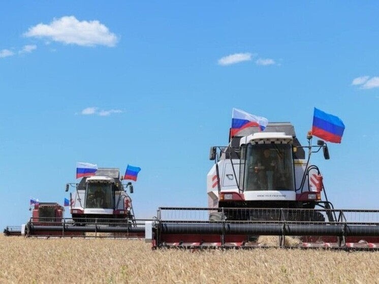 Луганские аграрии собрали более 85% зерновых