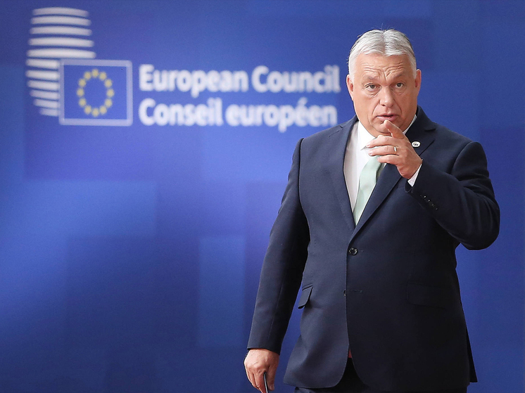 «Украинцы должны иметь свободу определять своё будущее», – сама себе решила обиженная Европа в совместном заявлении, опубликованном во вторник в преддверии предстоящего российско-американского саммита на Аляску в пятницу