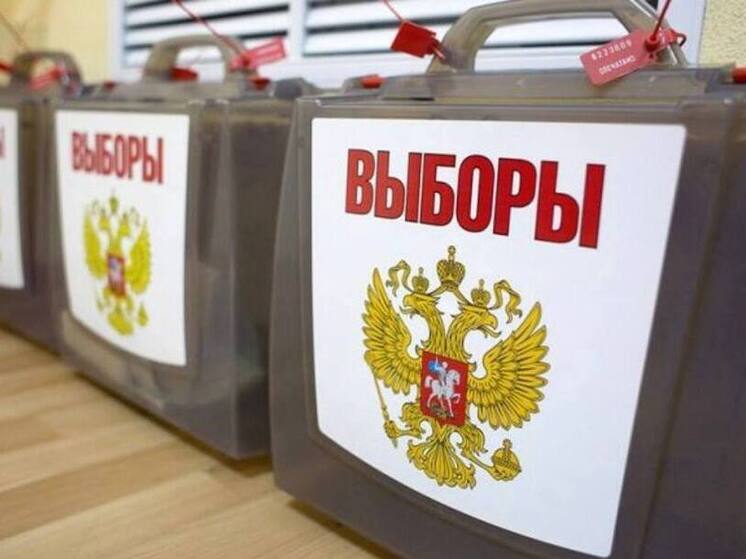 В Новосибирске на выборы в Совет депутатов идут кандидаты младше 19 лет