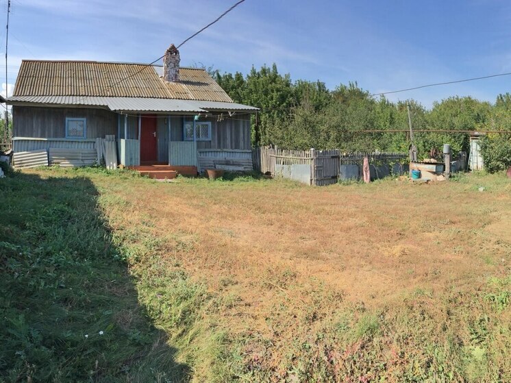 В Балтайском районе пчеловод изрубил топором бочку неприятеля