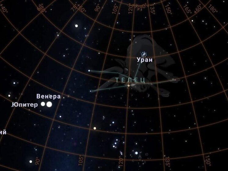 Калужанам обещают ночное шоу: звездопад Персеид и редкие сближения планет