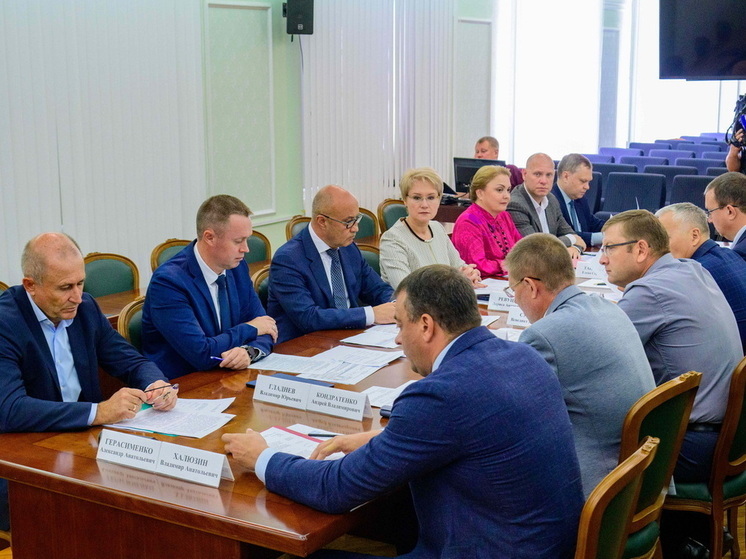 Власти Марий Эл обсудили реализацию нацпроектов и ИПР