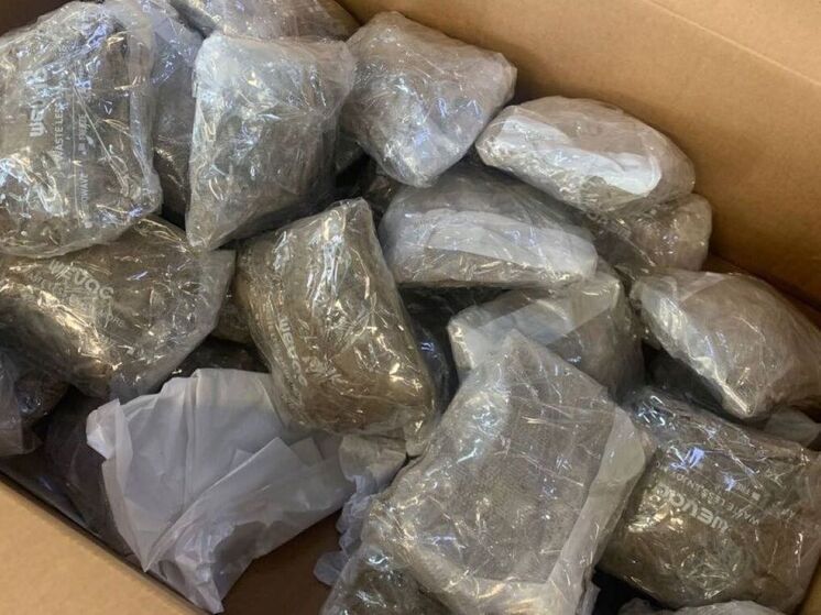 Житель Пятигорска пришел за посылкой из Сан-Франциско и был задержан