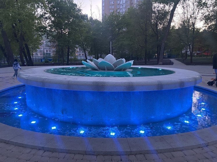 В Белгороде наказали мужчину за купание в фонтане