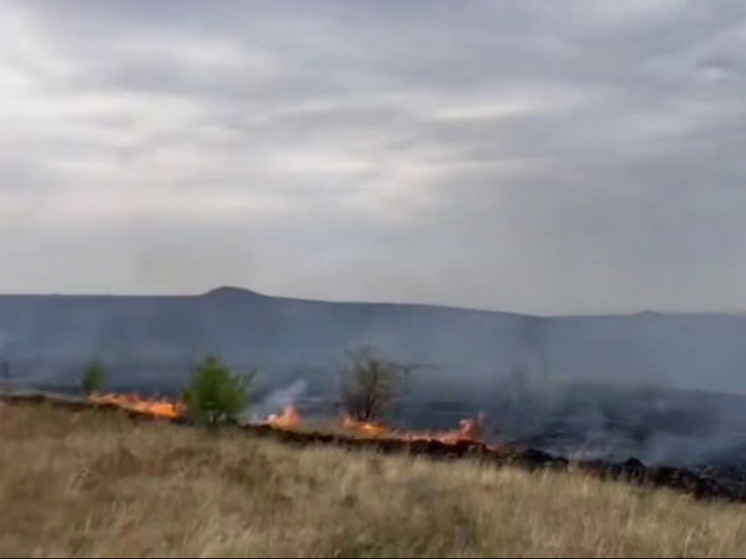 В Бахчисарайском районе вспыхнула сухая трава на площади 3,5 га
