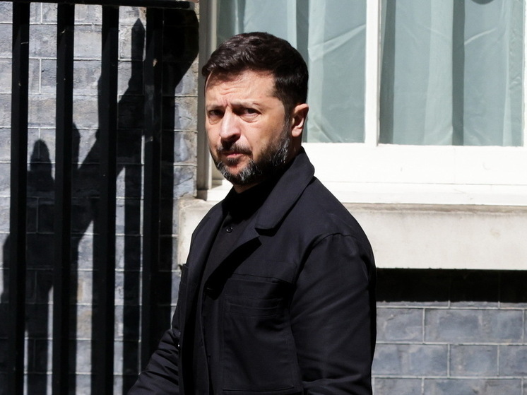 В Госдуме допустили, что США могут физически устранить Зеленского