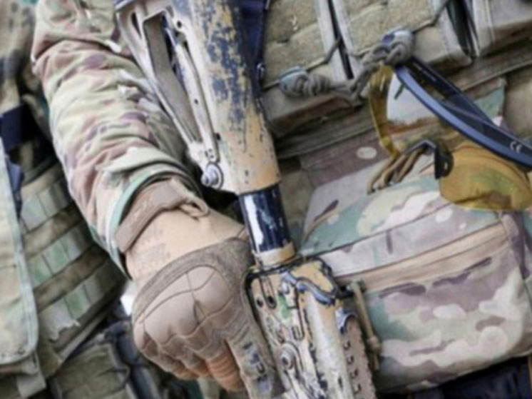 NYT: сдача подконтрольной Киеву части Донбасса приведет к краху обороны