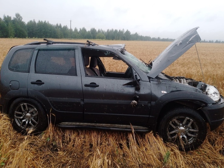 На трассе М5 под Пензой иномарка опрокинулась в кювет