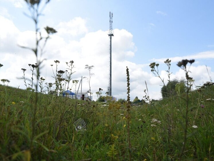 Есть 500: юбилейная базовая станция компании «БУЛАТ» по проекту устранения цифрового неравенства построена в Курской области