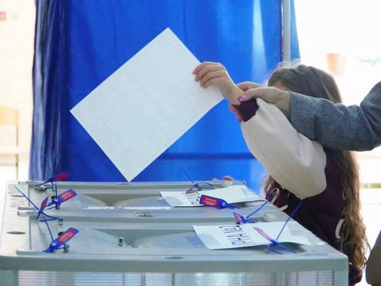 Молодая пара из Новосибирска решила побороться за мандаты в горсовете