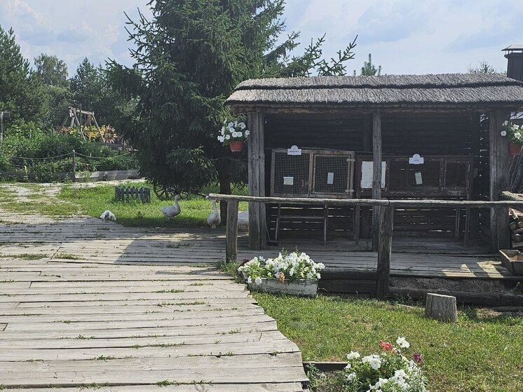 Работающий без лицензии зоопарк обнаружили в Воронежской области