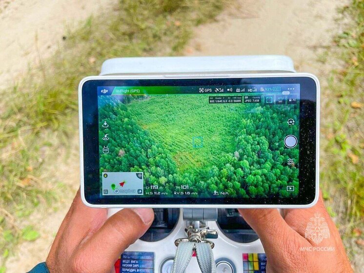 В Зауралье спустя двое суток нашли заблудившуюся в лесу пенсионерку