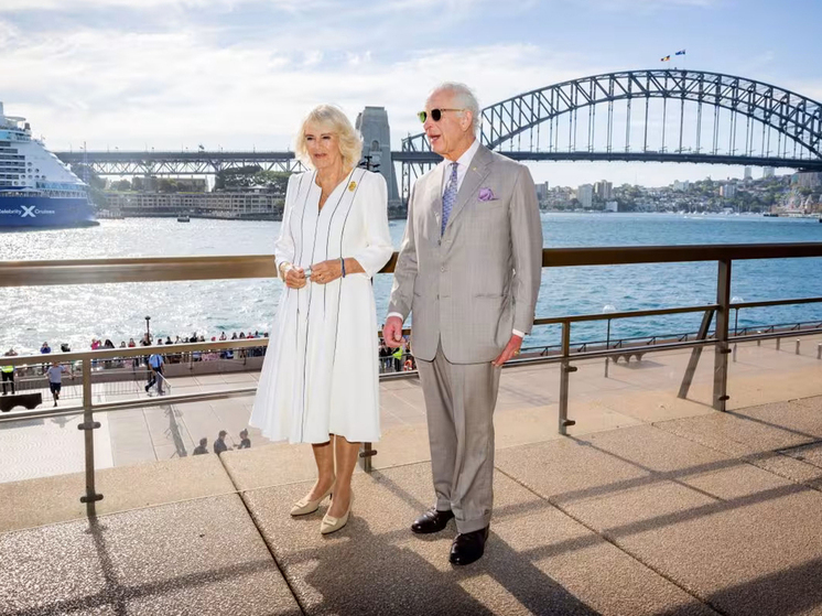 Элитный медведь с орденом Подвязки станет коллекционным шиком для взрослых