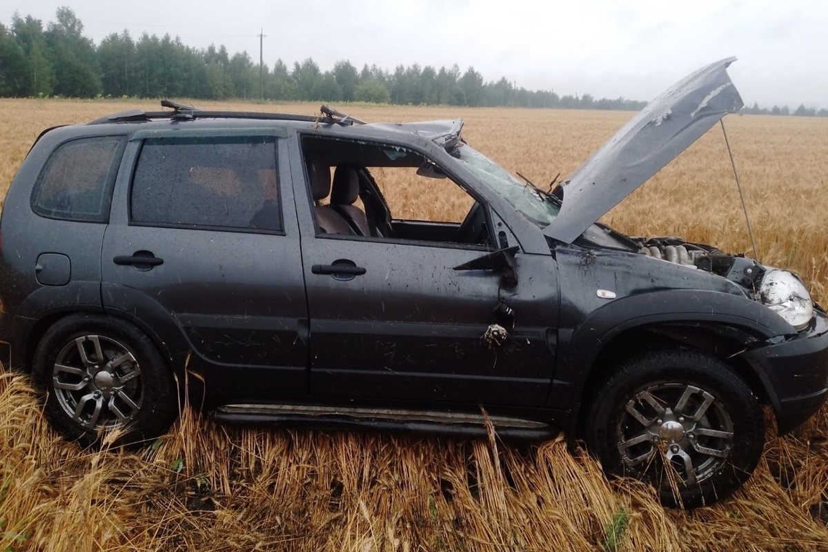 На трассе М5 под Пензой иномарка опрокинулась в кювет