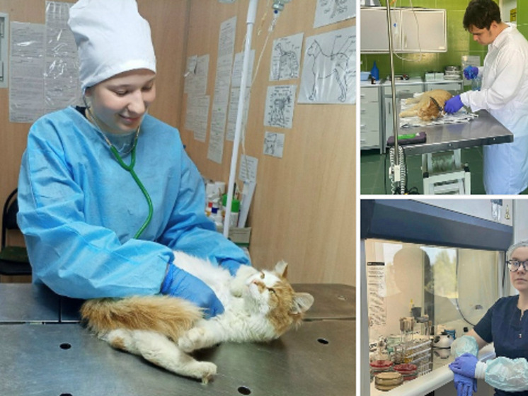 Трех выпускников техникума НАО трудоустроили в СББЖ