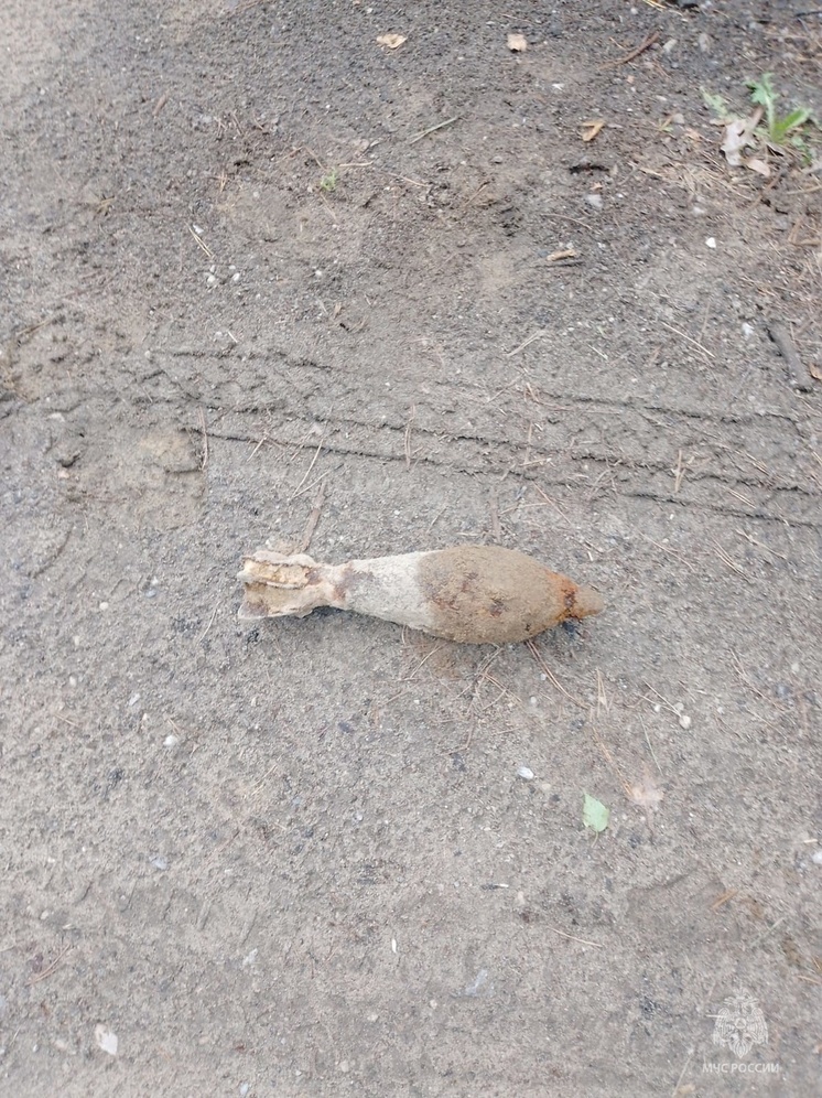 В калужской деревне Крутицы взорвали миномётную мину